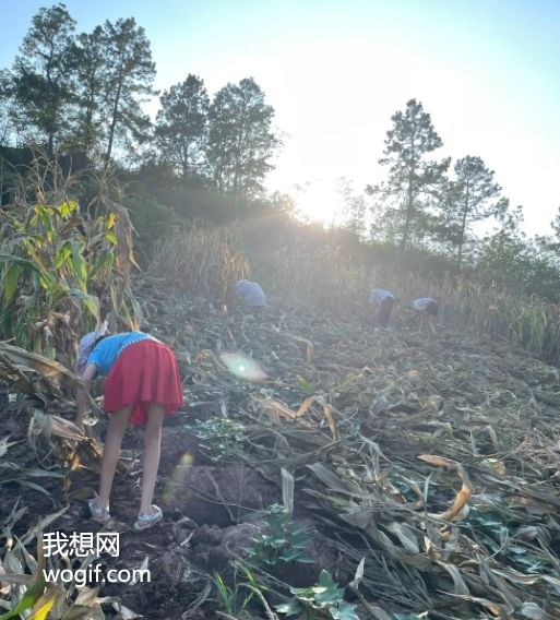 農民“拆瓦房，搬樓房”不好嗎？ 我給你算筆賬！